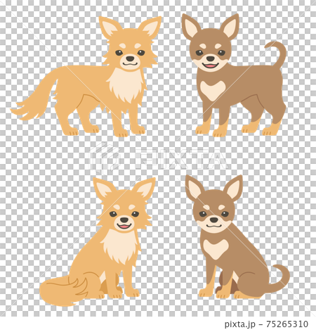 奇瓦瓦狗的例證 75265310