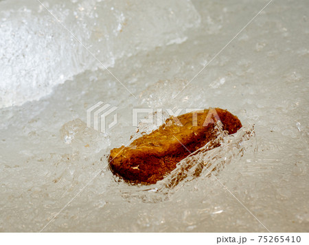 Melting Ice on the frozen ocean. Wet pool of melting Melting Ice on the frozen ocean. Wet pool of melting 75265410