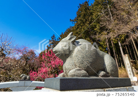 岩津天満宮、梅と神橋〈愛知県岡崎市〉 75265540