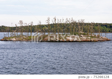 Sail away in Stockholm Archipelago Sail away in Stockholm Archipelago 75266128