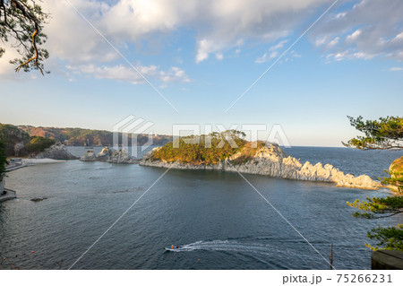 津波に耐えた浄土ヶ浜の松が折れる前の貴重な風景　2014年11月23日撮影　宮古のシンボル的存在 75266231