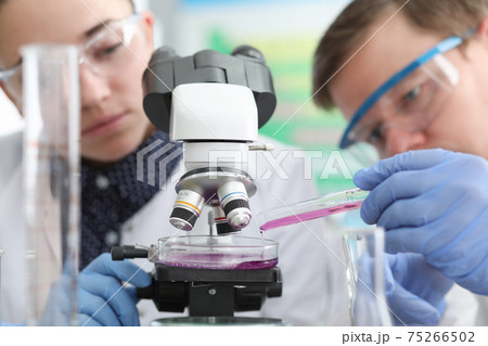Man and woman pouring liquid from test tube into petri dish closeup 75266502