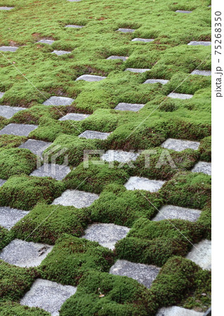 京都　庭園 75268350