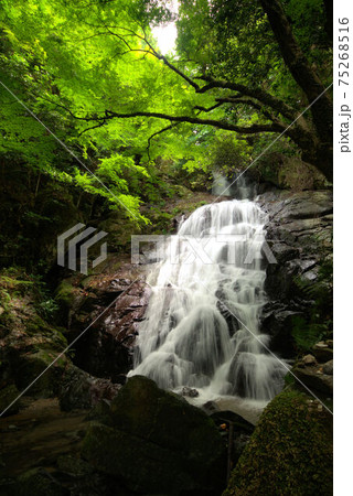 千寿院の滝 糸島の風景 千寿院の滝 糸島の風景 75268516
