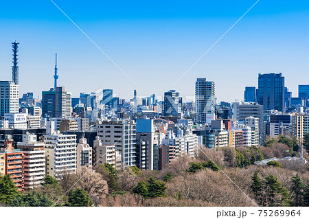 東京 新宿から見る都心部とスカイツリーの写真素材