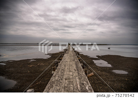 【北海道】この世の果てと言われる東道の幻想風景、野付半島のトドワラ 75270542