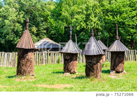 Ancient wooden beehives in old rural apiary 75271066
