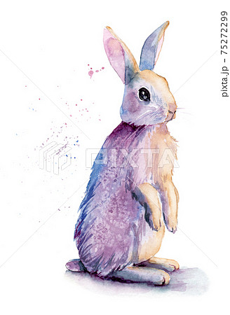 3dRose db246351 Cute Hotot Rabbit Bunny on Pink StripesDrawing Book 8  by 8Inch  Amazonin Office Products
