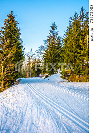 Cross country skiing track 75273088