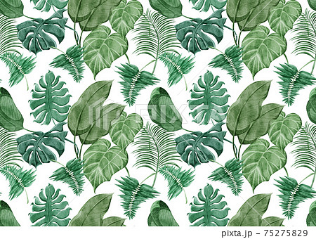 トロピカル南国風植物連続背景パターンのイラスト素材