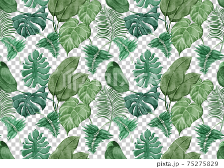 トロピカル南国風植物連続背景パターンのイラスト素材 75275829 Pixta