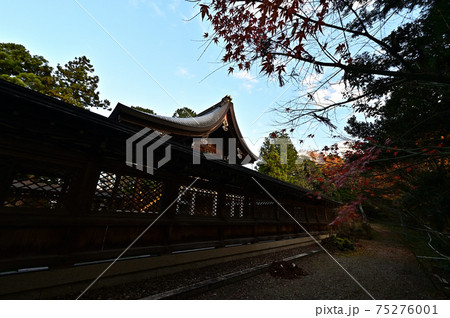 金刀比羅神社より 金刀比羅神社より 75276001