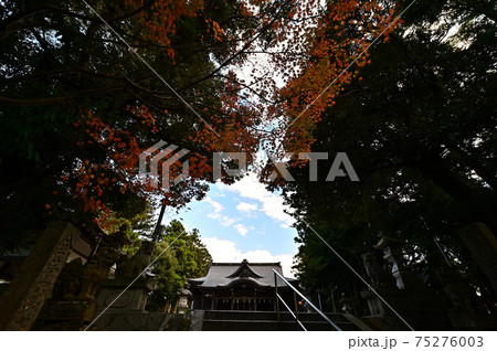 金刀比羅神社より 金刀比羅神社より 75276003