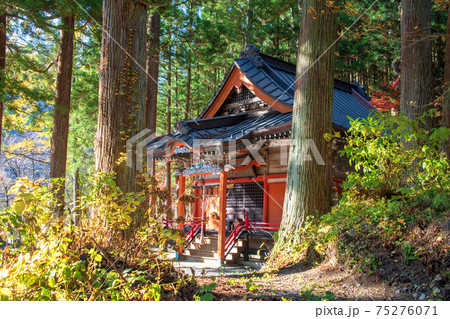 谷川冨士浅間神社 社殿 境内 谷川温泉 谷川冨士浅間神社 社殿 境内 谷川温泉 75276071
