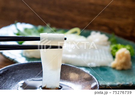 ヤリイカの刺身 ヤリイカの刺身 75276739