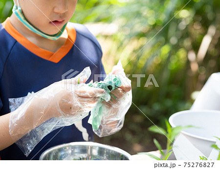 藍の葉からハンカチを染める 75276827