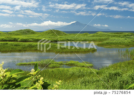 オロロンライン沿いの沼地と利尻山（北海道） 75276854