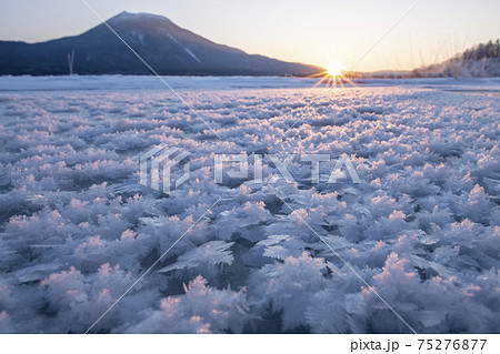 阿寒湖のフロストフラワーと雄阿寒岳（北海道） 75276877