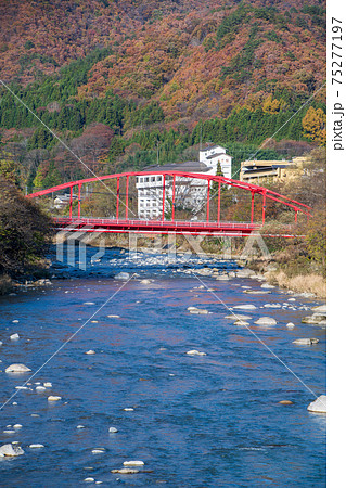 上牧夢のブリッジからの利根川上流の景色　上牧温泉方面 75277197