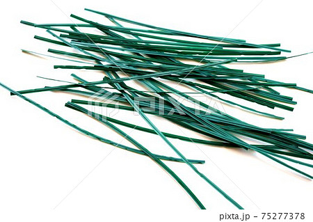 園芸用カットビニールタイ　ワイヤー入りのヒモ　結束材　仮止め 75277378