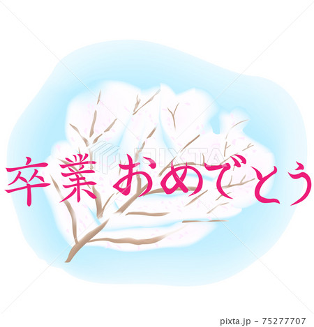 卒業おめでとう のピンク色の文字とさくらのイラスト 卒業のイラスト のイラスト素材