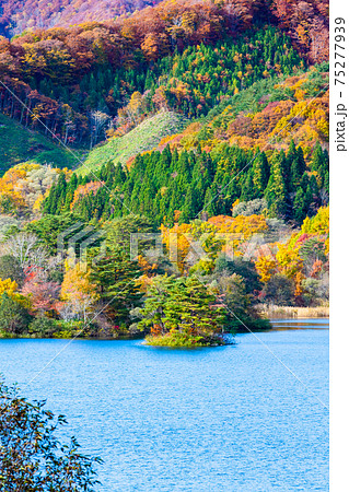 福島県 紅葉の桧原湖 福島県 紅葉の桧原湖 75277939