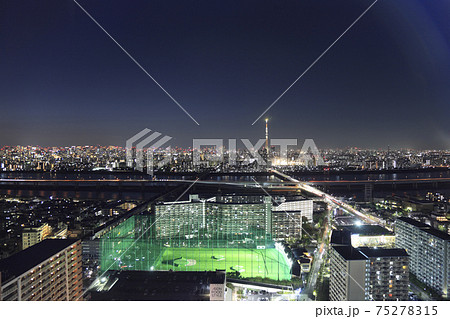 江戸川区 俯瞰 タワーホール船堀 展望台 スカイツリー 75278315