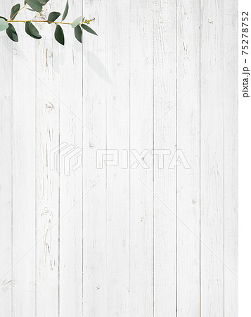 白い木製の壁とユーカリの葉で構成された爽やかな背景 複数のバリエーションがありますのイラスト素材 75278752 Pixta
