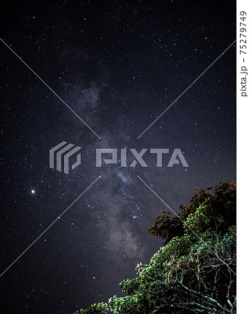 星 スター 空 75279749