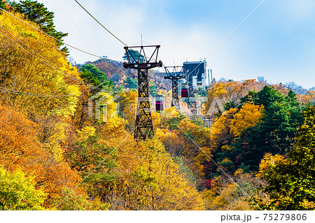 福島県 紅葉の天元台 福島県 紅葉の天元台 75279806