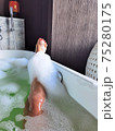 Girl leg with foam in the bathtub 75280175