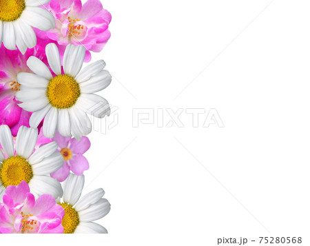 白とピンク色の花寄せ（白色コピースペース） 75280568