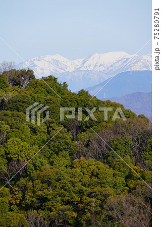 早春の青空と残雪の能郷白山 早春の青空と残雪の能郷白山 75280791