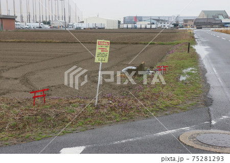 不法投棄防止?の赤鳥居 不法投棄防止?の赤鳥居 75281293