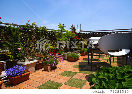 ルーフバルコニーで沢山のお花といっしょに美しく幸せな日常 ガーデニングでハッピーライフ ルーフバルコニーで沢山のお花といっしょに美しく幸せな日常 ガーデニングでハッピーライフ 75281516