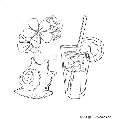 Tropical spa set. Vacation in tropical country with cocktails, flowers and sea set isolated in white background. Vector illustration Tropical spa set. Vacation in tropical country with cocktails, flowers and sea set isolated in white background. Vector illustration 75282322