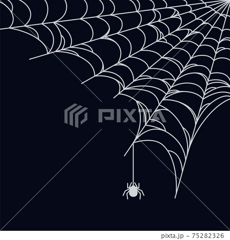 Spider web background for Halloween. Halloween cobweb corner. Vector illustration 75282326