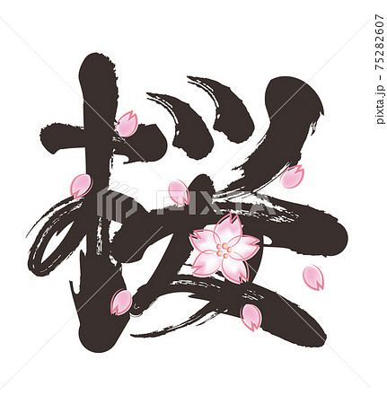With Cherry Blossom Brush Letters And Petal Stock Illustration