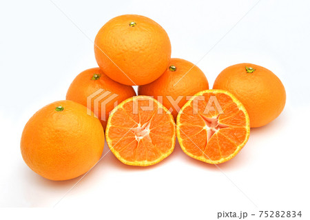 木熟きよみ 75282834