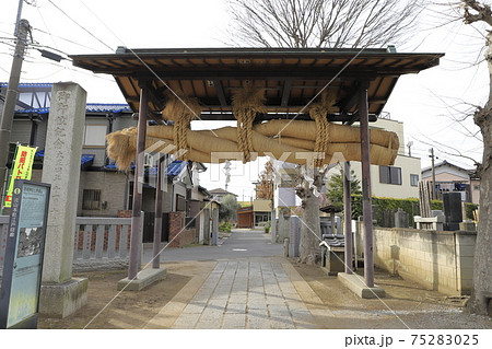 赤城神社 大しめ縄 千葉県流山市流山 赤城神社 大しめ縄 千葉県流山市流山 75283025