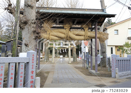 赤城神社 大しめ縄 千葉県流山市流山 赤城神社 大しめ縄 千葉県流山市流山 75283029