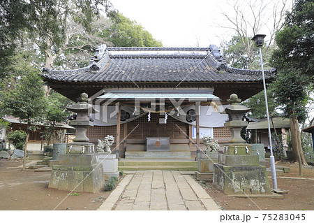赤城神社　千葉県流山市流山　　　　 75283045