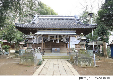 赤城神社　千葉県流山市流山　　　　 75283046