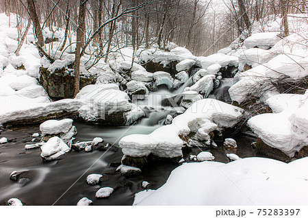 奥入瀬　冬景色 75283397