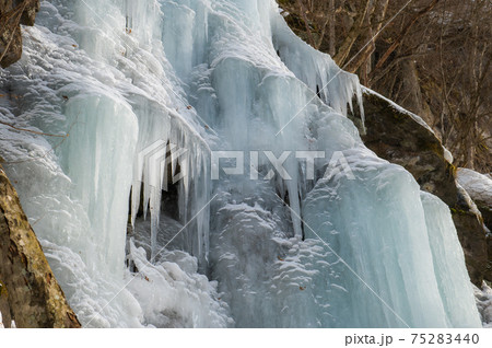 奥入瀬 冬景色 奥入瀬 冬景色 75283440