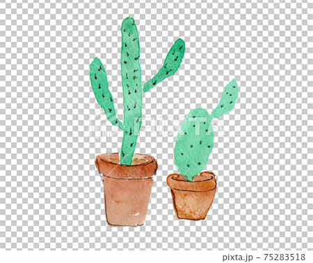 Watercolor illustration of cactus potted plant 75283518