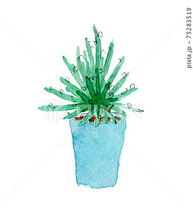 観葉植物 アガベ の鉢植えの水彩イラストのイラスト素材