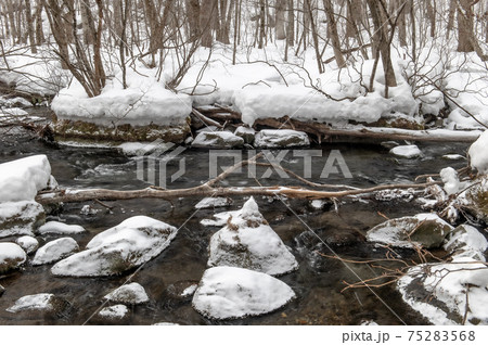 奥入瀬　冬景色 75283568