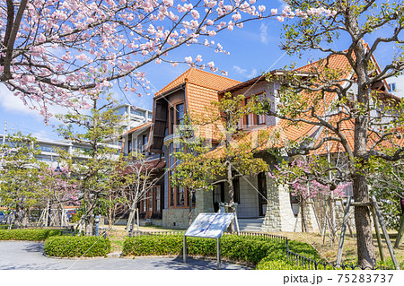 名古屋・東区 文化のみち二葉館(川上貞奴邸)と大寒桜 街並み保存地区 名古屋・東区 文化のみち二葉館(川上貞奴邸)と大寒桜 街並み保存地区 75283737