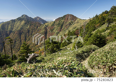石鎚山面河ルートから見る二ノ森(愛媛県) 石鎚山面河ルートから見る二ノ森(愛媛県) 75283823